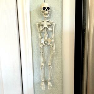 Skeleton Halloween Decorations. Hang or Sit Moveable Parts. 18”